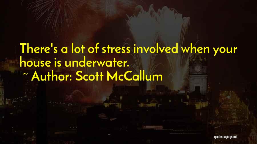 Scott McCallum Quotes: There's A Lot Of Stress Involved When Your House Is Underwater.