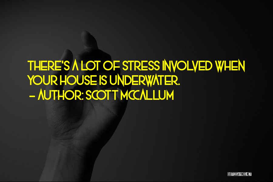Scott McCallum Quotes: There's A Lot Of Stress Involved When Your House Is Underwater.