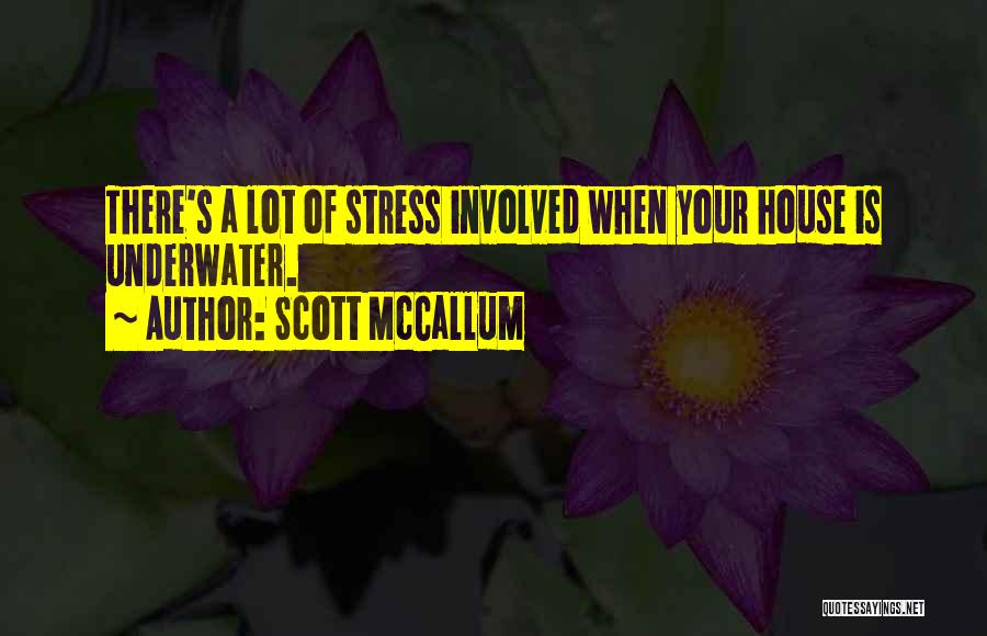 Scott McCallum Quotes: There's A Lot Of Stress Involved When Your House Is Underwater.