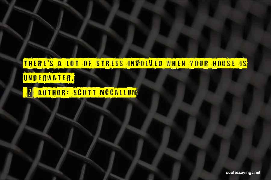 Scott McCallum Quotes: There's A Lot Of Stress Involved When Your House Is Underwater.