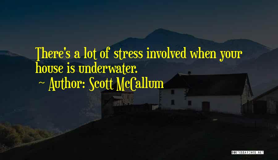 Scott McCallum Quotes: There's A Lot Of Stress Involved When Your House Is Underwater.