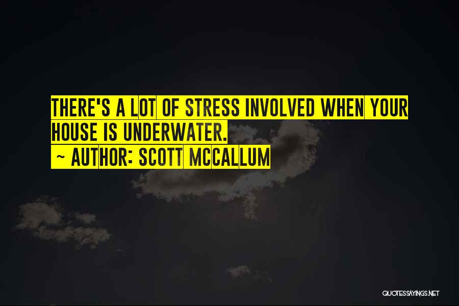 Scott McCallum Quotes: There's A Lot Of Stress Involved When Your House Is Underwater.