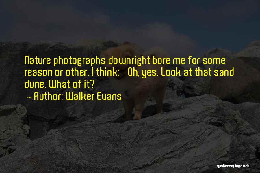 Walker Evans Quotes: Nature Photographs Downright Bore Me For Some Reason Or Other. I Think: 'oh, Yes. Look At That Sand Dune. What