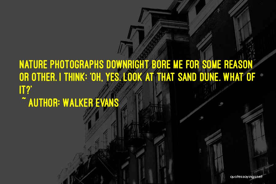 Walker Evans Quotes: Nature Photographs Downright Bore Me For Some Reason Or Other. I Think: 'oh, Yes. Look At That Sand Dune. What