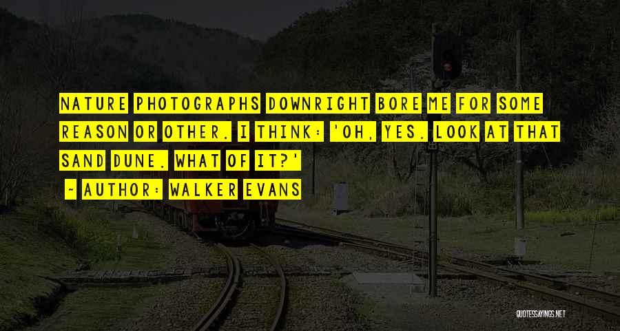 Walker Evans Quotes: Nature Photographs Downright Bore Me For Some Reason Or Other. I Think: 'oh, Yes. Look At That Sand Dune. What