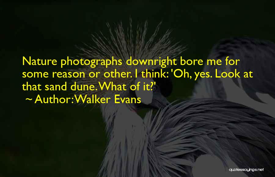 Walker Evans Quotes: Nature Photographs Downright Bore Me For Some Reason Or Other. I Think: 'oh, Yes. Look At That Sand Dune. What
