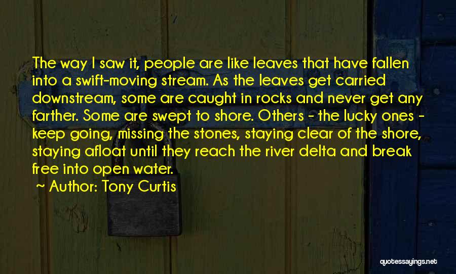 Tony Curtis Quotes: The Way I Saw It, People Are Like Leaves That Have Fallen Into A Swift-moving Stream. As The Leaves Get