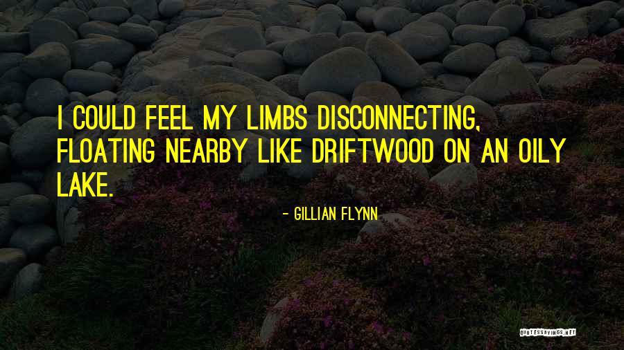 1794 Asb Quotes By Gillian Flynn 1794 Asb Quotes By Gillian Flynn