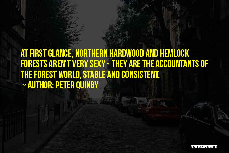 Peter Quinby Quotes: At First Glance, Northern Hardwood And Hemlock Forests Aren't Very Sexy - They Are The Accountants Of The Forest World,