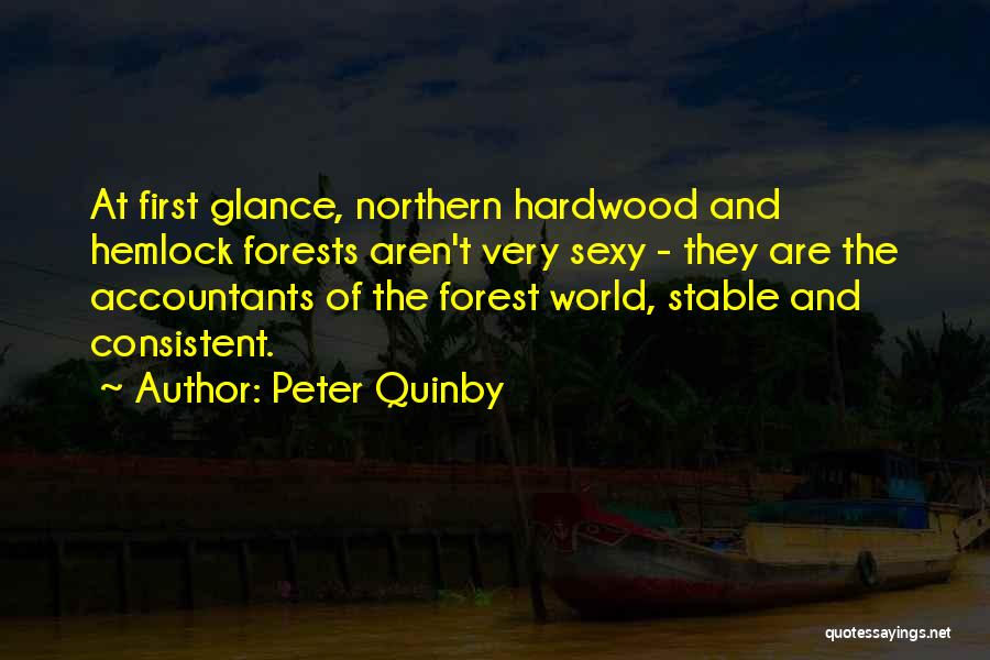 Peter Quinby Quotes: At First Glance, Northern Hardwood And Hemlock Forests Aren't Very Sexy - They Are The Accountants Of The Forest World,