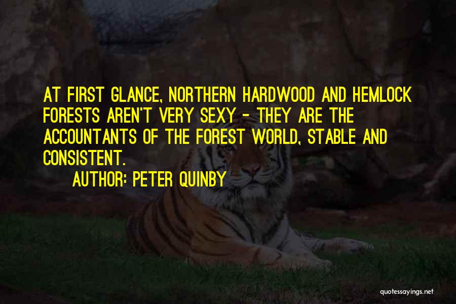 Peter Quinby Quotes: At First Glance, Northern Hardwood And Hemlock Forests Aren't Very Sexy - They Are The Accountants Of The Forest World,
