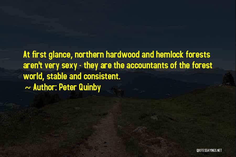 Peter Quinby Quotes: At First Glance, Northern Hardwood And Hemlock Forests Aren't Very Sexy - They Are The Accountants Of The Forest World,