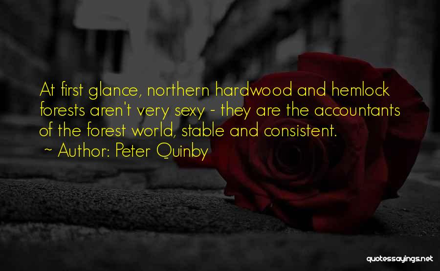 Peter Quinby Quotes: At First Glance, Northern Hardwood And Hemlock Forests Aren't Very Sexy - They Are The Accountants Of The Forest World,