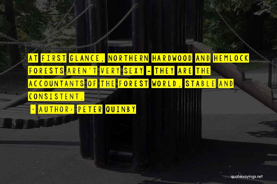 Peter Quinby Quotes: At First Glance, Northern Hardwood And Hemlock Forests Aren't Very Sexy - They Are The Accountants Of The Forest World,