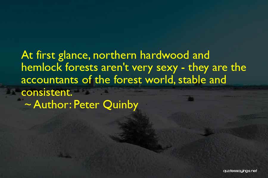 Peter Quinby Quotes: At First Glance, Northern Hardwood And Hemlock Forests Aren't Very Sexy - They Are The Accountants Of The Forest World,