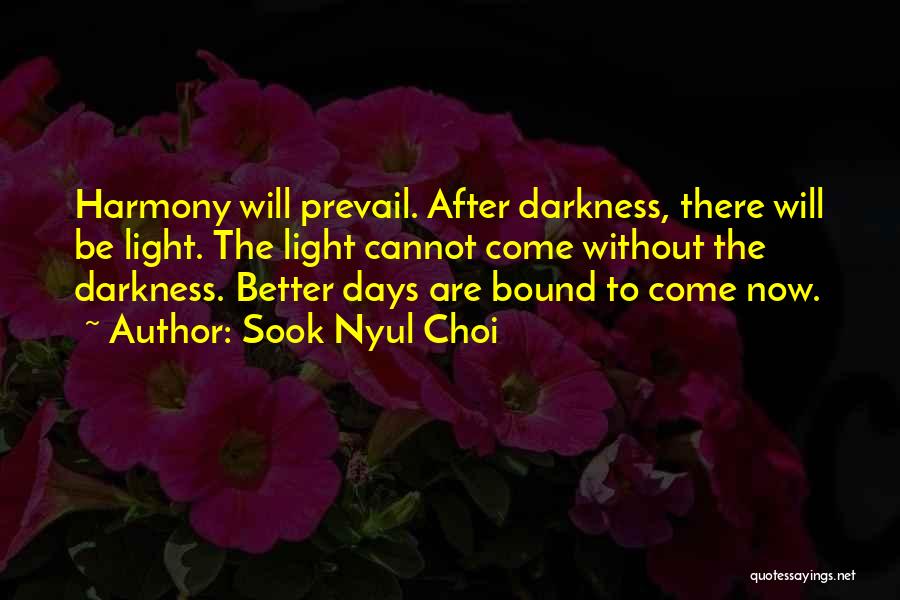 Sook Nyul Choi Quotes: Harmony Will Prevail. After Darkness, There Will Be Light. The Light Cannot Come Without The Darkness. Better Days Are Bound