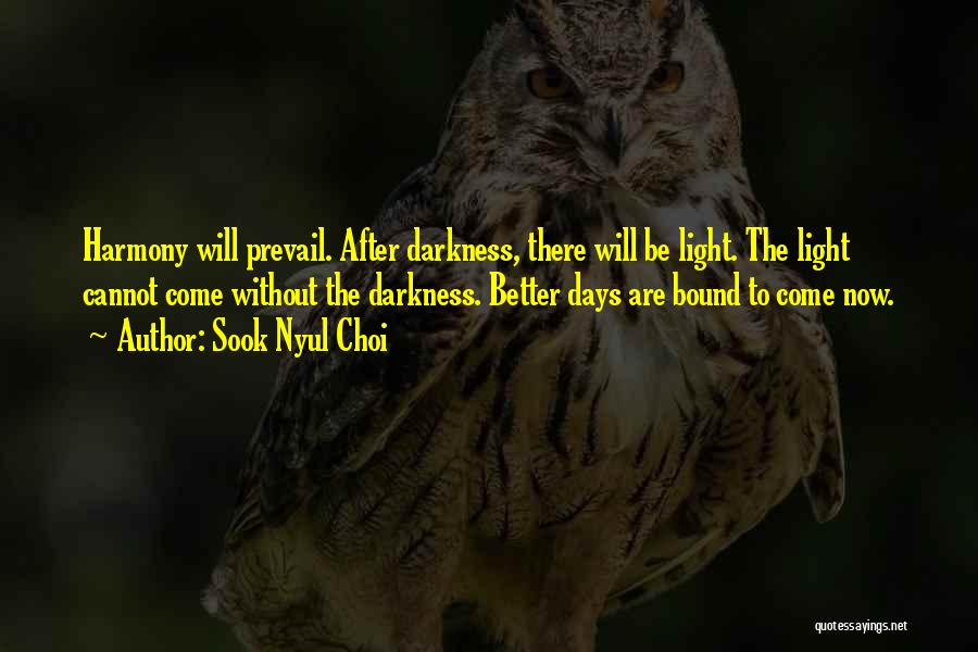 Sook Nyul Choi Quotes: Harmony Will Prevail. After Darkness, There Will Be Light. The Light Cannot Come Without The Darkness. Better Days Are Bound