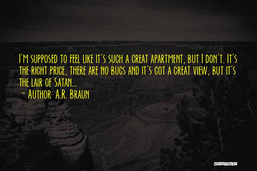 A.R. Braun Quotes: I'm Supposed To Feel Like It's Such A Great Apartment, But I Don't. It's The Right Price, There Are No