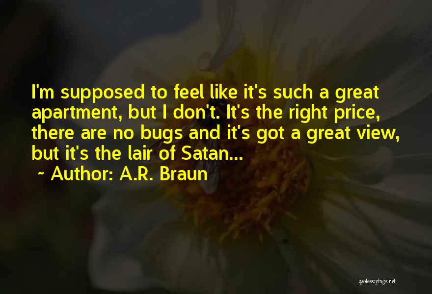 A.R. Braun Quotes: I'm Supposed To Feel Like It's Such A Great Apartment, But I Don't. It's The Right Price, There Are No