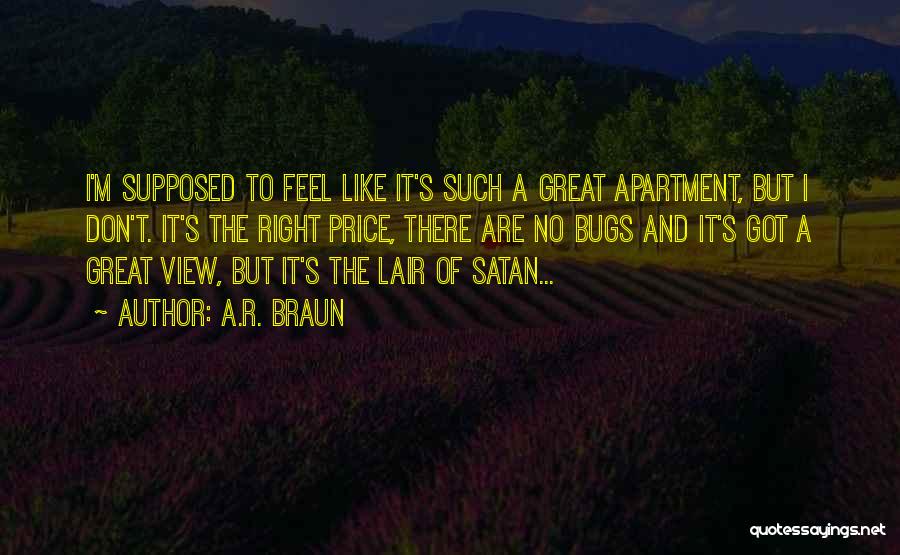 A.R. Braun Quotes: I'm Supposed To Feel Like It's Such A Great Apartment, But I Don't. It's The Right Price, There Are No