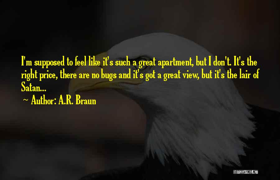 A.R. Braun Quotes: I'm Supposed To Feel Like It's Such A Great Apartment, But I Don't. It's The Right Price, There Are No