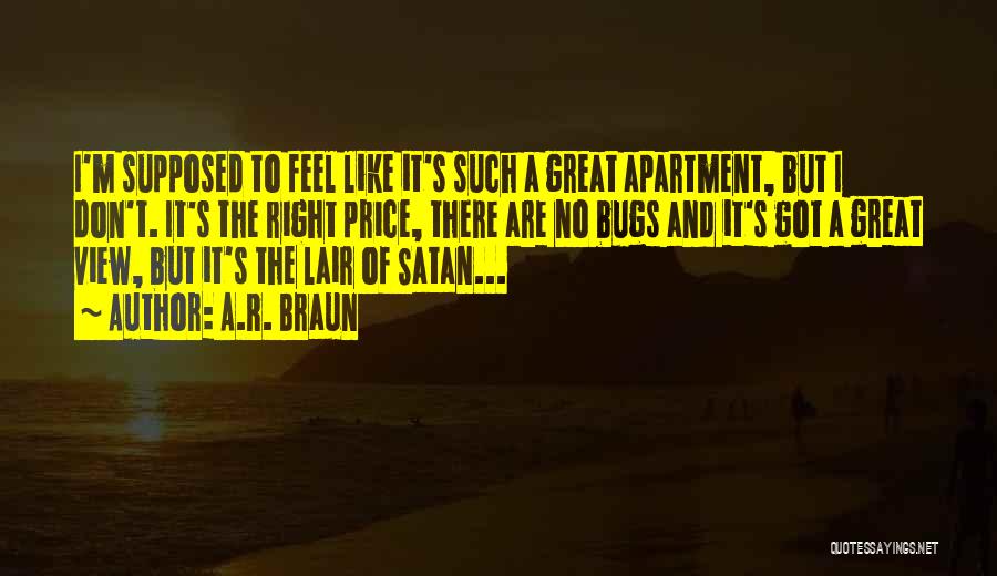 A.R. Braun Quotes: I'm Supposed To Feel Like It's Such A Great Apartment, But I Don't. It's The Right Price, There Are No