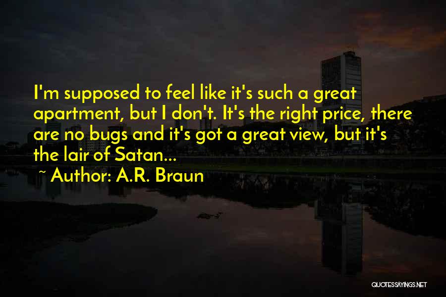 A.R. Braun Quotes: I'm Supposed To Feel Like It's Such A Great Apartment, But I Don't. It's The Right Price, There Are No