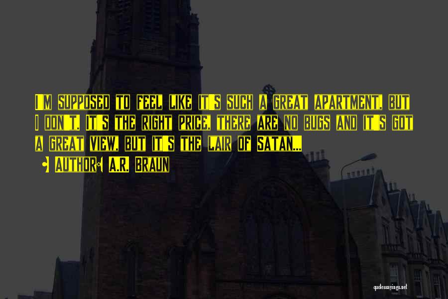 A.R. Braun Quotes: I'm Supposed To Feel Like It's Such A Great Apartment, But I Don't. It's The Right Price, There Are No