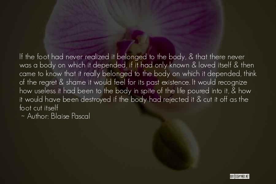 Blaise Pascal Quotes: If The Foot Had Never Realized It Belonged To The Body, & That There Never Was A Body On Which