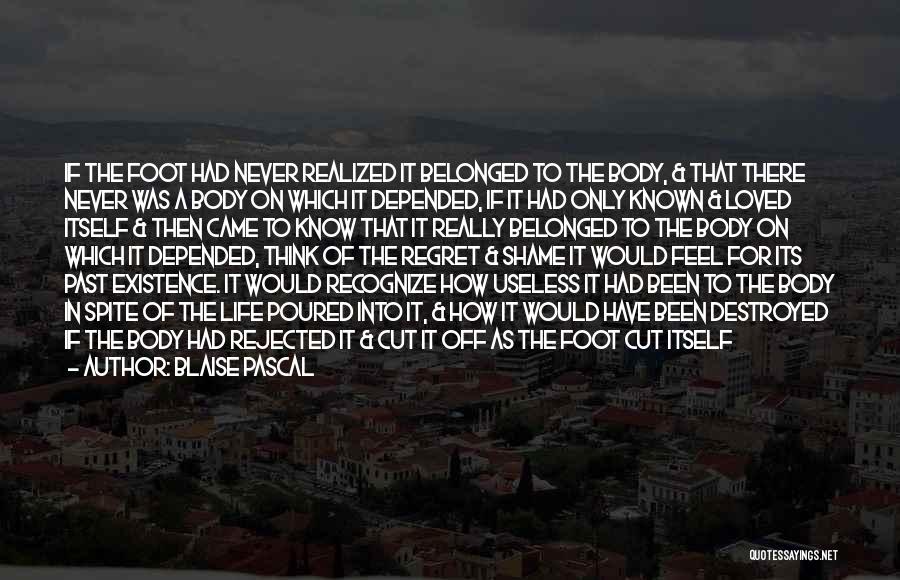 Blaise Pascal Quotes: If The Foot Had Never Realized It Belonged To The Body, & That There Never Was A Body On Which