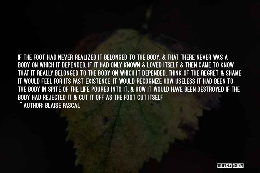 Blaise Pascal Quotes: If The Foot Had Never Realized It Belonged To The Body, & That There Never Was A Body On Which