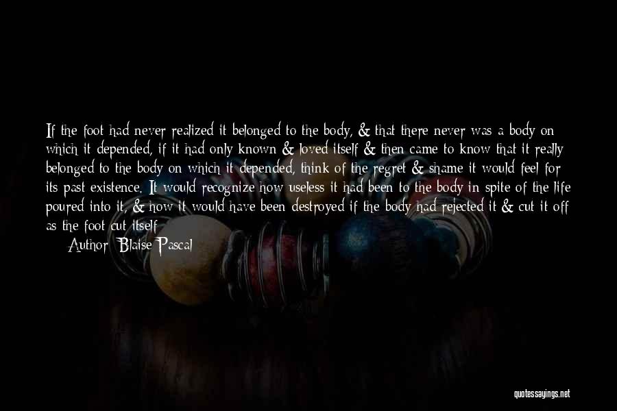 Blaise Pascal Quotes: If The Foot Had Never Realized It Belonged To The Body, & That There Never Was A Body On Which