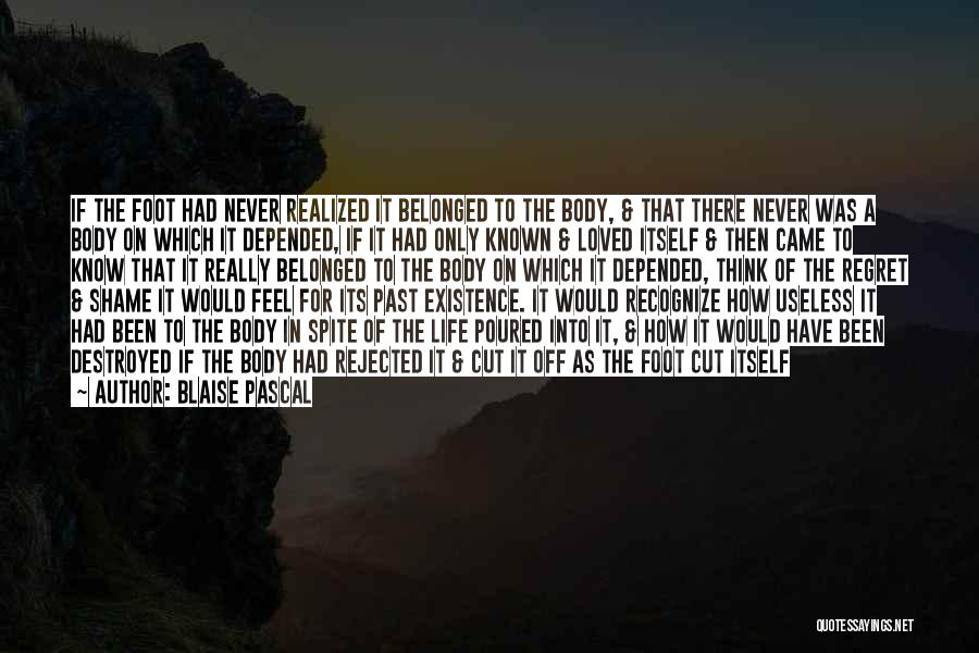 Blaise Pascal Quotes: If The Foot Had Never Realized It Belonged To The Body, & That There Never Was A Body On Which