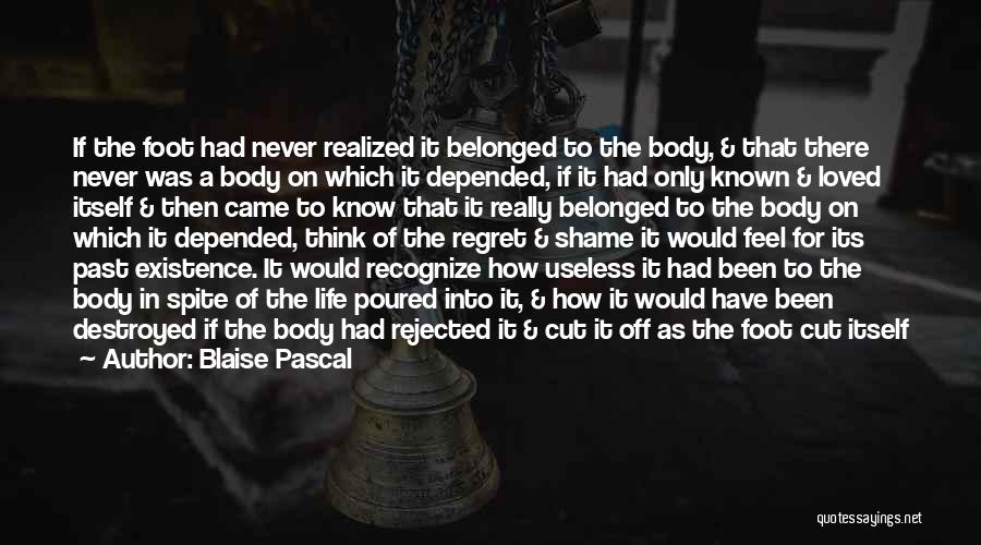 Blaise Pascal Quotes: If The Foot Had Never Realized It Belonged To The Body, & That There Never Was A Body On Which