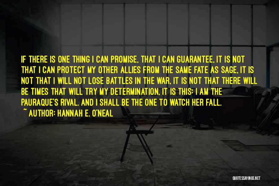 Hannah E. O'Neal Quotes: If There Is One Thing I Can Promise, That I Can Guarantee, It Is Not That I Can Protect My