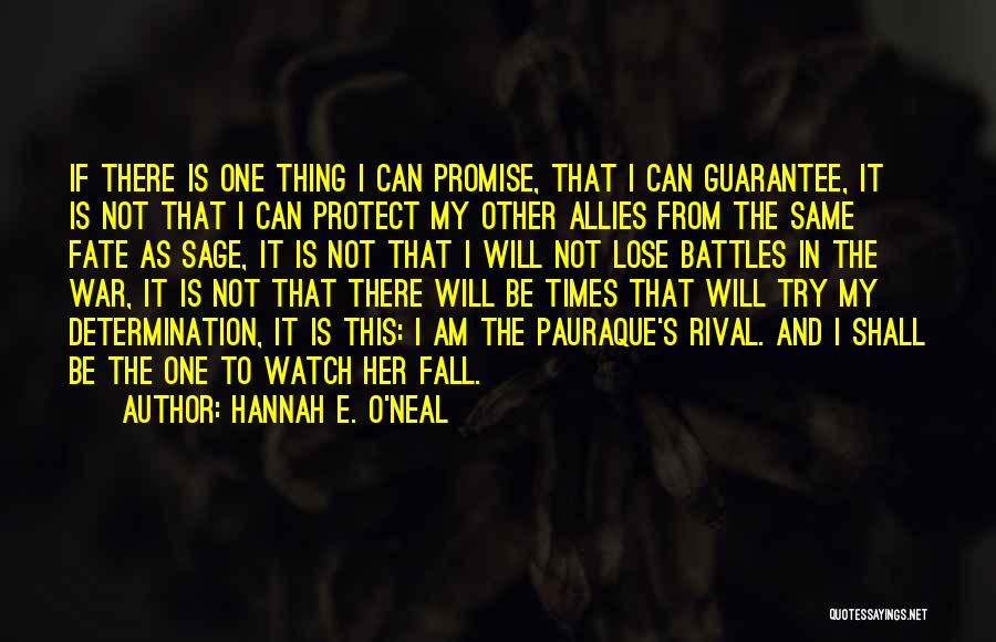 Hannah E. O'Neal Quotes: If There Is One Thing I Can Promise, That I Can Guarantee, It Is Not That I Can Protect My