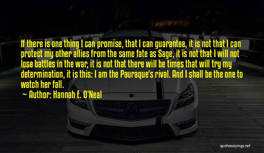 Hannah E. O'Neal Quotes: If There Is One Thing I Can Promise, That I Can Guarantee, It Is Not That I Can Protect My