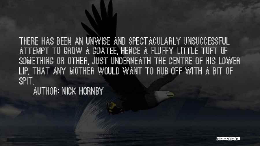 Nick Hornby Quotes: There Has Been An Unwise And Spectacularly Unsuccessful Attempt To Grow A Goatee, Hence A Fluffy Little Tuft Of Something