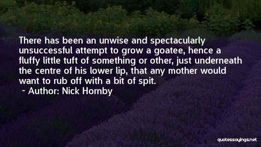 Nick Hornby Quotes: There Has Been An Unwise And Spectacularly Unsuccessful Attempt To Grow A Goatee, Hence A Fluffy Little Tuft Of Something