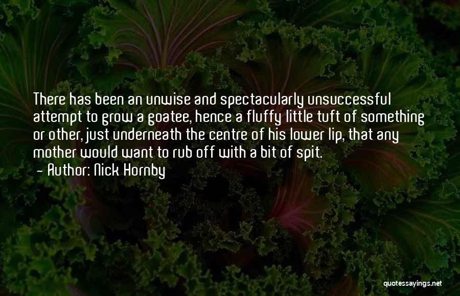 Nick Hornby Quotes: There Has Been An Unwise And Spectacularly Unsuccessful Attempt To Grow A Goatee, Hence A Fluffy Little Tuft Of Something