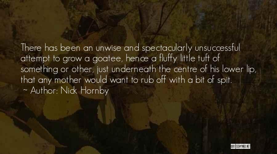 Nick Hornby Quotes: There Has Been An Unwise And Spectacularly Unsuccessful Attempt To Grow A Goatee, Hence A Fluffy Little Tuft Of Something