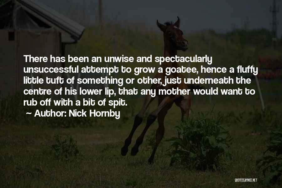 Nick Hornby Quotes: There Has Been An Unwise And Spectacularly Unsuccessful Attempt To Grow A Goatee, Hence A Fluffy Little Tuft Of Something