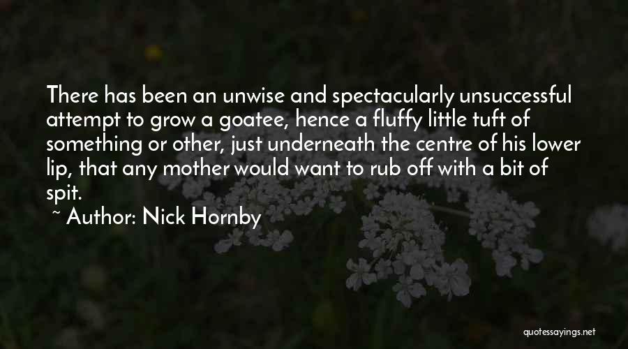 Nick Hornby Quotes: There Has Been An Unwise And Spectacularly Unsuccessful Attempt To Grow A Goatee, Hence A Fluffy Little Tuft Of Something