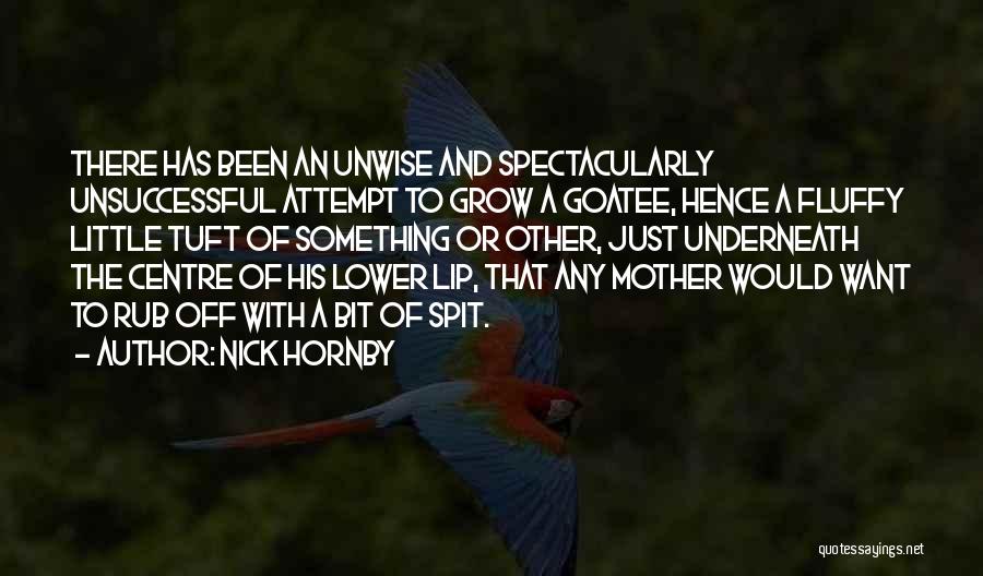 Nick Hornby Quotes: There Has Been An Unwise And Spectacularly Unsuccessful Attempt To Grow A Goatee, Hence A Fluffy Little Tuft Of Something