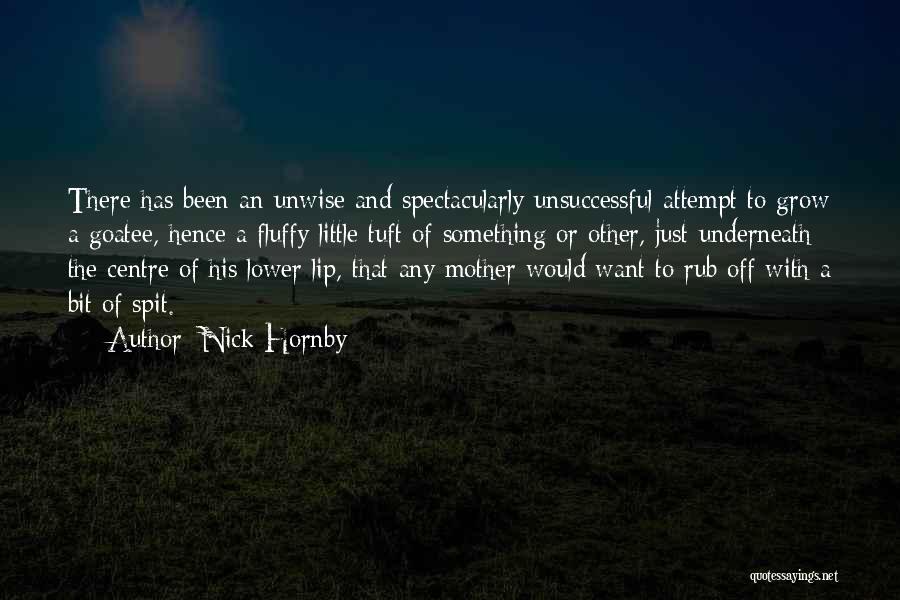 Nick Hornby Quotes: There Has Been An Unwise And Spectacularly Unsuccessful Attempt To Grow A Goatee, Hence A Fluffy Little Tuft Of Something