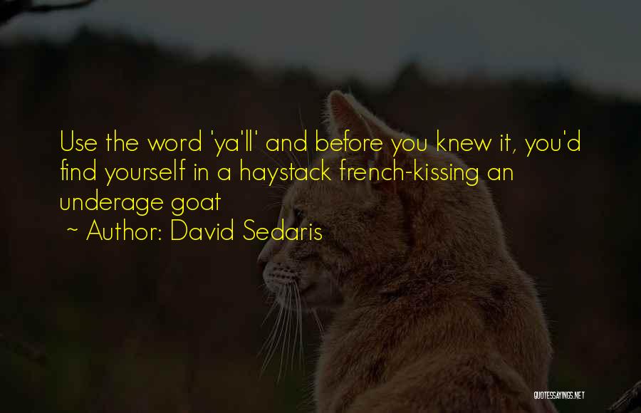 David Sedaris Quotes: Use The Word 'ya'll' And Before You Knew It, You'd Find Yourself In A Haystack French-kissing An Underage Goat
