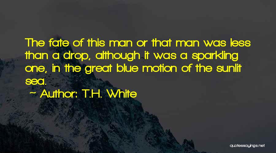 T.H. White Quotes: The Fate Of This Man Or That Man Was Less Than A Drop, Although It Was A Sparkling One, In