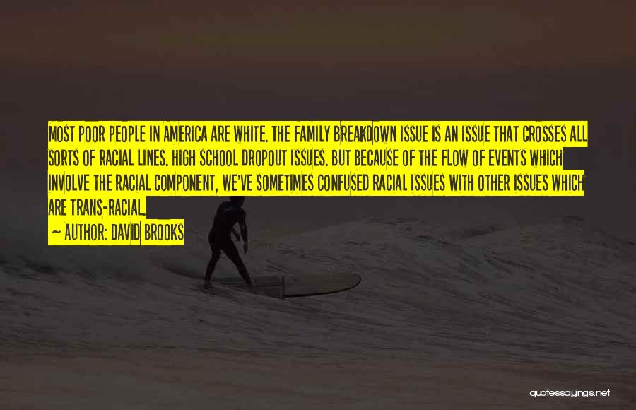 David Brooks Quotes: Most Poor People In America Are White. The Family Breakdown Issue Is An Issue That Crosses All Sorts Of Racial