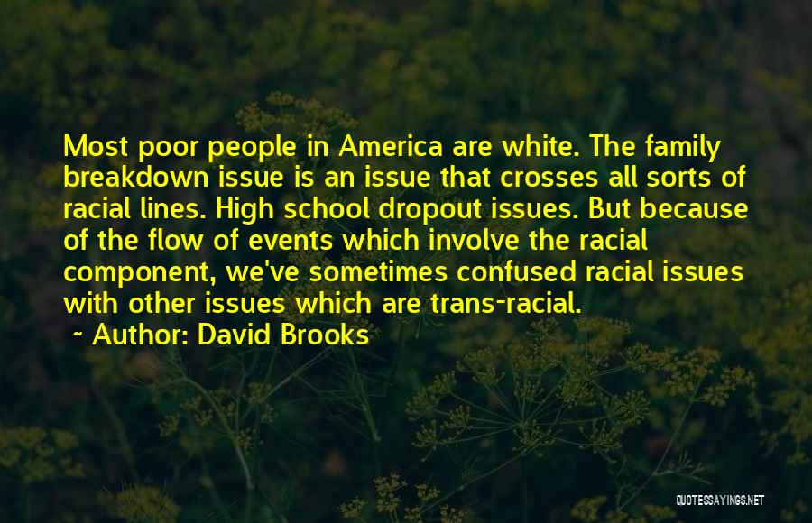 David Brooks Quotes: Most Poor People In America Are White. The Family Breakdown Issue Is An Issue That Crosses All Sorts Of Racial