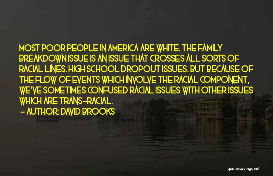 David Brooks Quotes: Most Poor People In America Are White. The Family Breakdown Issue Is An Issue That Crosses All Sorts Of Racial